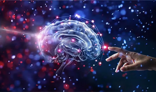 Neuropsicologia